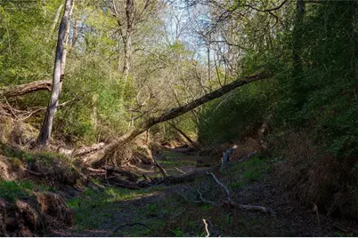 1700 County Road 216, Giddings, TX 78942 - Photo 8