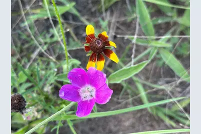 Tbd Homestead Circle, Paige, TX 78659 - Photo 20