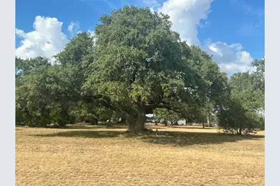 100 Green Branch Court, Liberty Hill, TX 78642 - Photo 2