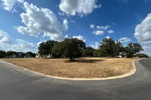100 Green Branch Ct, Liberty Hill, TX 78642 - Photo 1