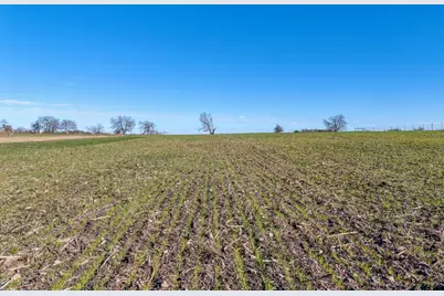 18502 Fm 2268, Holland, TX 76534 - Photo 6