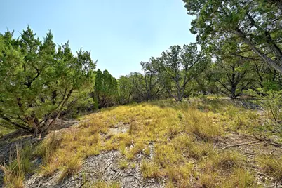 170 Night Wrangler Lane, Driftwood, TX 78619 - Photo 16