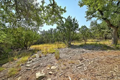 170 Night Wrangler Lane, Driftwood, TX 78619 - Photo 14