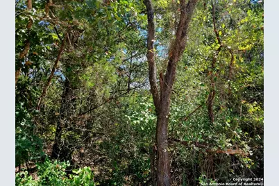 Tbd Dale Ln Lane, Dale, TX 78616 - Photo 2