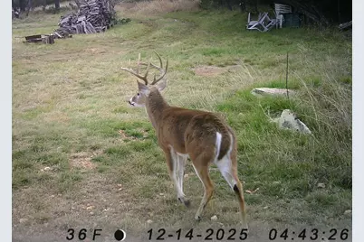 1595 Skyridge Road, Lampasas, TX 76550 - Photo 24