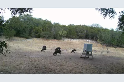 1595 Skyridge Road, Lampasas, TX 76550 - Photo 18