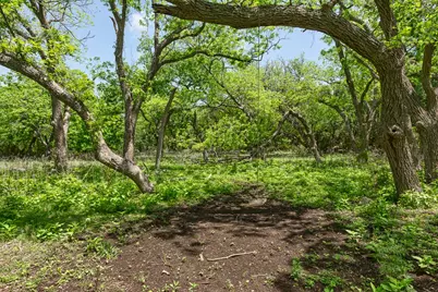 127 El Nopal Drive, Blanco, TX 78606 - Photo 12