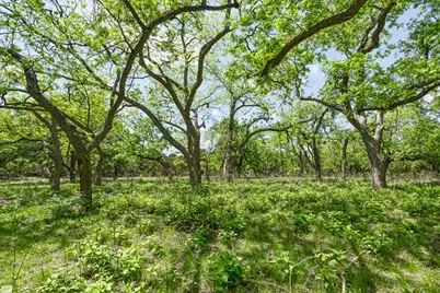 127 El Nopal Drive, Blanco, TX 78606 - Photo 12