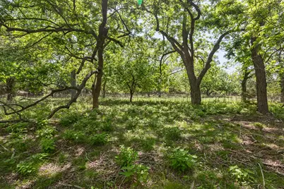 127 El Nopal Drive, Blanco, TX 78606 - Photo 10