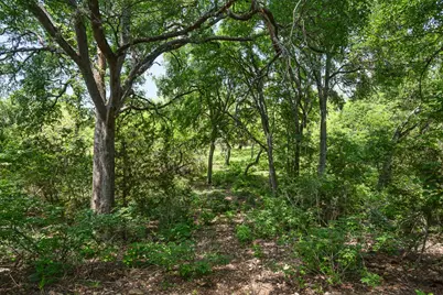 127 El Nopal Drive, Blanco, TX 78606 - Photo 14