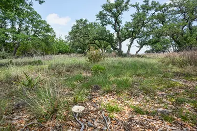 127 El Nopal Drive, Blanco, TX 78606 - Photo 18