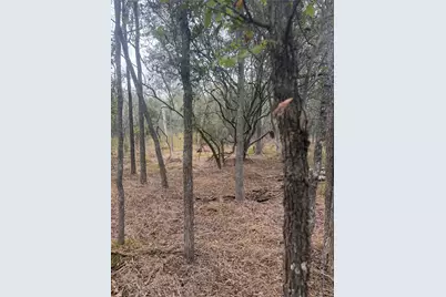 Lots 298, 300 and 54 Riverside and Kahana Drive, Bastrop, TX 78602 - Photo 6