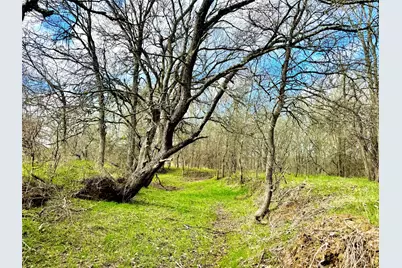 1118 County Road 447, Waelder, TX 78959 - Photo 12