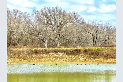 1118 County Road 447, Waelder, TX 78959 - Photo 1