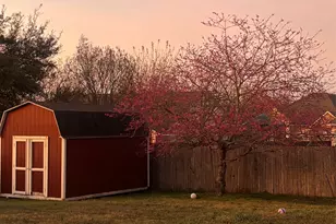 3336 Ashleys Way, Marion, TX 78124 - Photo 12