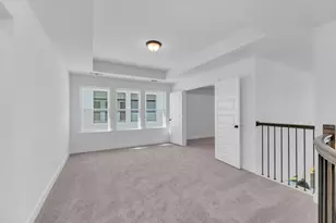 217 Horsemint Ln, Georgetown, TX 78633 - Photo 20