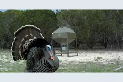 2555 County Road 1139, Lampasas, TX 76550 - Photo 40