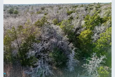 Lot 14 Antioch Road, Paige, TX 78659 - Photo 14