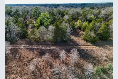 Lot 14 Antioch Road, Paige, TX 78659 - Photo 10