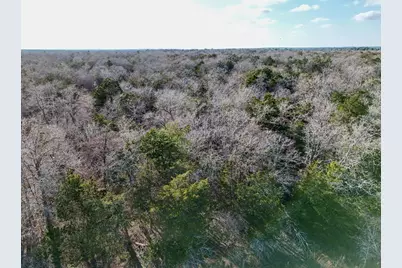 Lot 14 Antioch Road, Paige, TX 78659 - Photo 6
