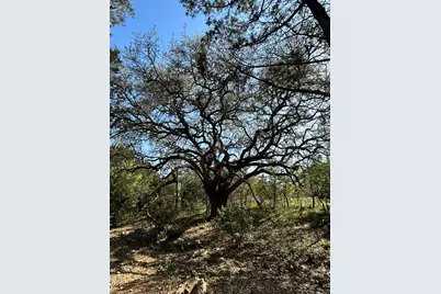 500 Owl Hollow Road, San Marcos, TX 78666 - Photo 26