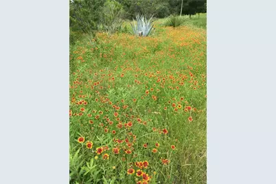 500 Owl Hollow Road, San Marcos, TX 78666 - Photo 22