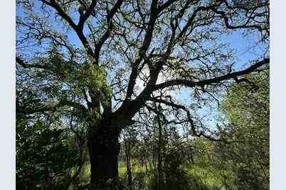 500 Owl Hollow Road, San Marcos, TX 78666 - Photo 28