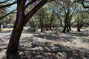 4513 Destination Wy, Jonestown, TX 78645 - Photo 22