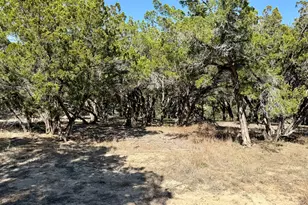 4513 Destination Wy, Jonestown, TX 78645 - Photo 12