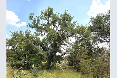 Tbd Oakwood Loop, San Marcos, TX 78666 - Photo 6