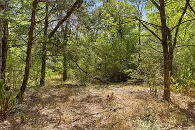 242 Cody Lane, Bastrop, TX 78602 - Photo 32