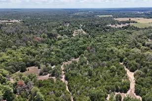 242 Cody Ln, Bastrop, TX 78602 - Photo 38