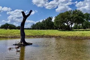 110 Clear Pond Ct, Spring Branch, TX 78070 - Photo 16