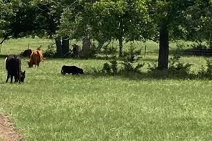 2029 Co Rd 200, Burnet, TX 78611 - Photo 1