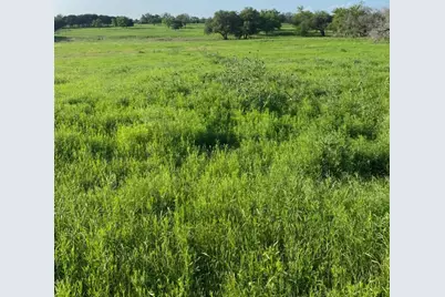 2029 County Road 200, Burnet, TX 78611 - Photo 14