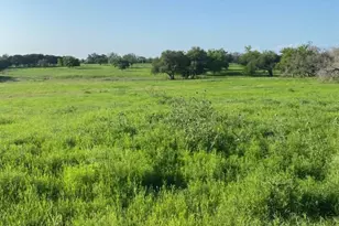 2029 Co Rd 200, Burnet, TX 78611 - Photo 14