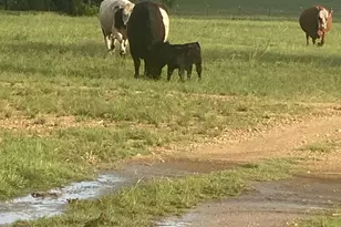 2029 Co Rd 200, Burnet, TX 78611 - Photo 12