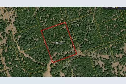 Lot 37 Riparian Elm Road, Bertram, TX 78605 - Photo 12