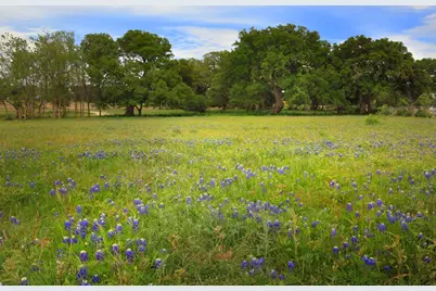 274 Waters Edge Cove, Dripping Springs, TX 78620 - Photo 8