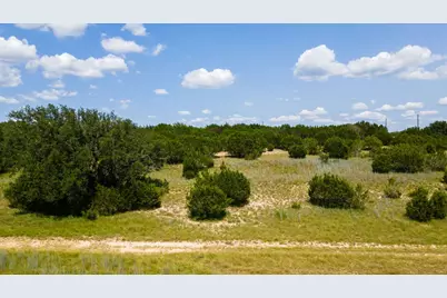 158 Hilandale Drive, Briggs, TX 76539 - Photo 20
