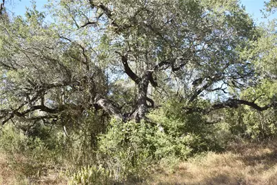 Tbd Cr 481, Gonzales, TX 78629 - Photo 6