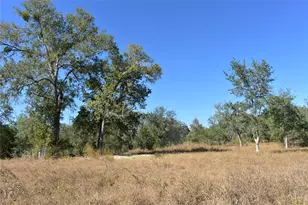 Tbd Cr 481, Gonzales, TX 78629 - Photo 1