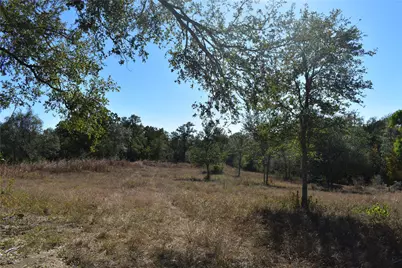 Tbd Cr 481, Gonzales, TX 78629 - Photo 4