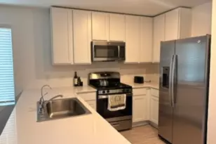 167 Northern Pintail, Uhland, TX 78640 - Photo 4