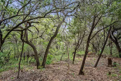 501 Drawbridge Road, Austin, TX 78746 - Photo 22