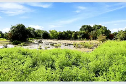 3560 County Road 236, Liberty Hill, TX 78642 - Photo 12
