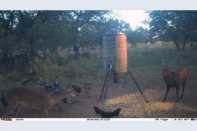 8577 Ranch Road 2766, Johnson City, TX 78636 - Photo 36