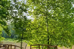 235 El Camino River Rd, Bastrop, TX 78602 - Photo 4