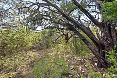 262 Beauchamp Road, Dripping Springs, TX 78620 - Photo 10