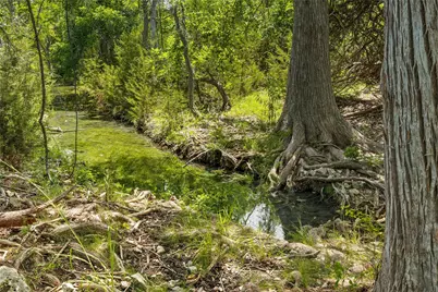 1128 Posey Ranch Road, Fischer, TX 78623 - Photo 28